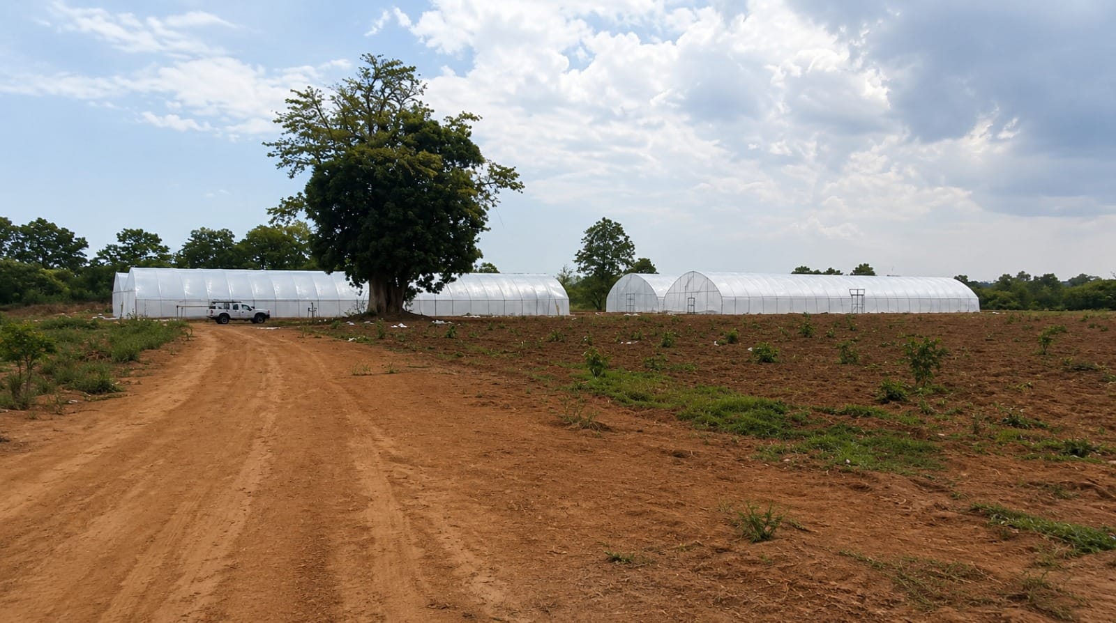 Matériel & équipement agricole au Mali