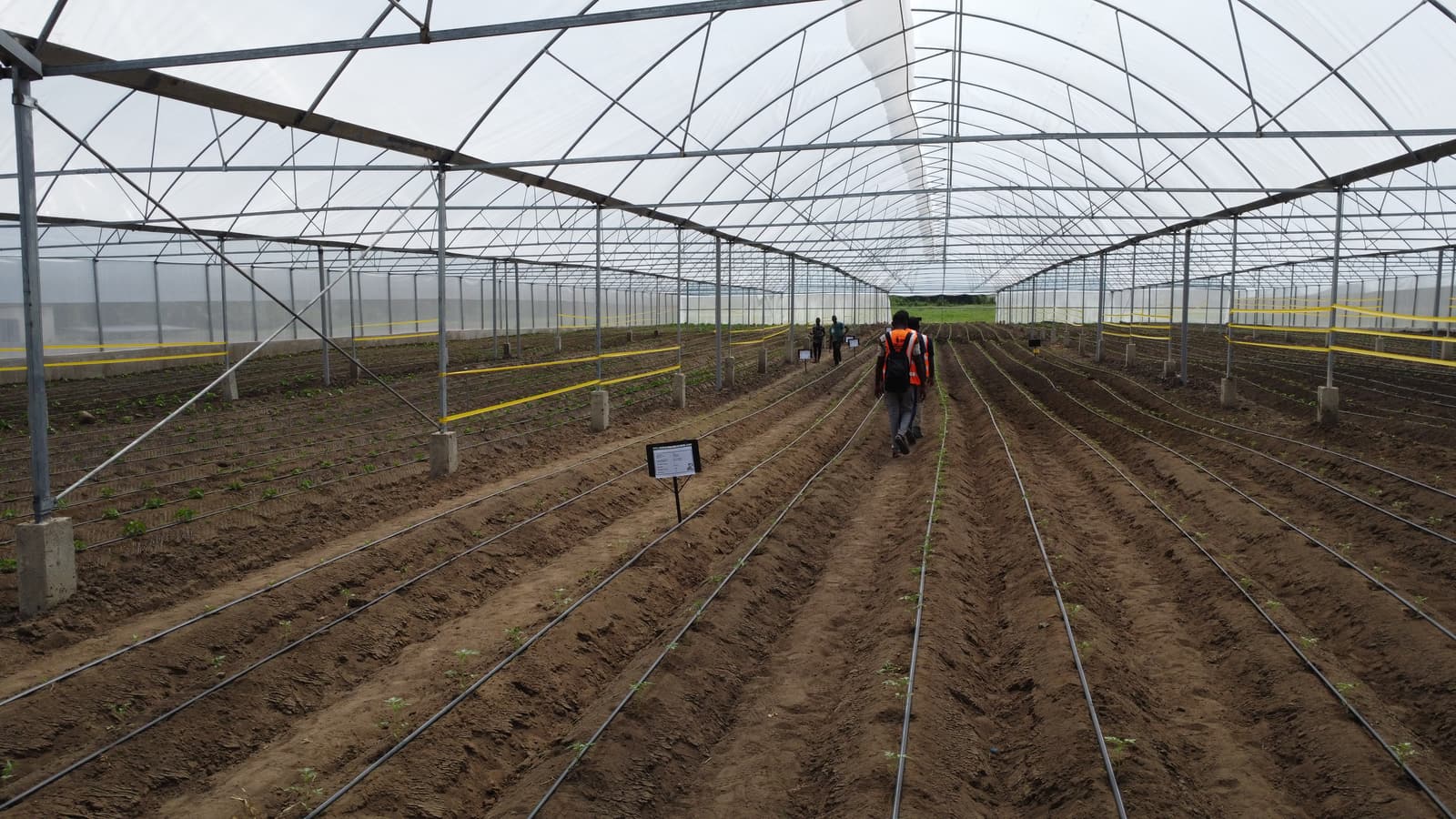 Combien rapporte une serre agricole ?